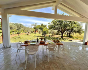Casa RiVa - Among olive trees and the Tuscan coast